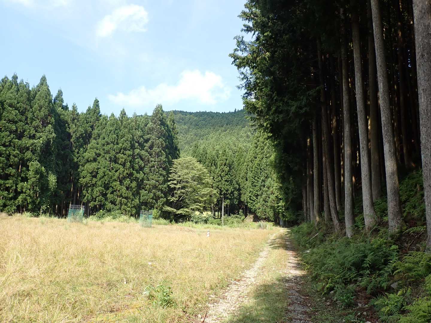 朝の道と合流します。
下りは、かつての古道を通った感じで、とても楽しかったです。