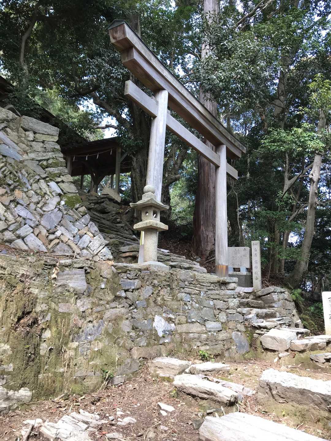 高積山（和歌山県）の写真