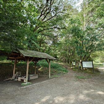 登山口