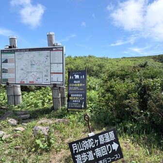 終始登山道が整備されており感謝🙇‍♂️