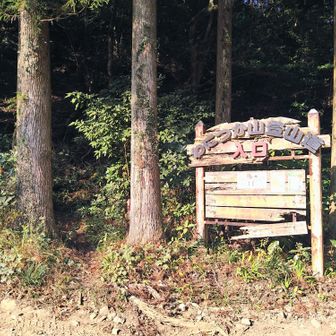 バイクを停めて登山口からスタートします🚶