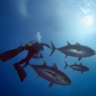 へのへの茂辺地