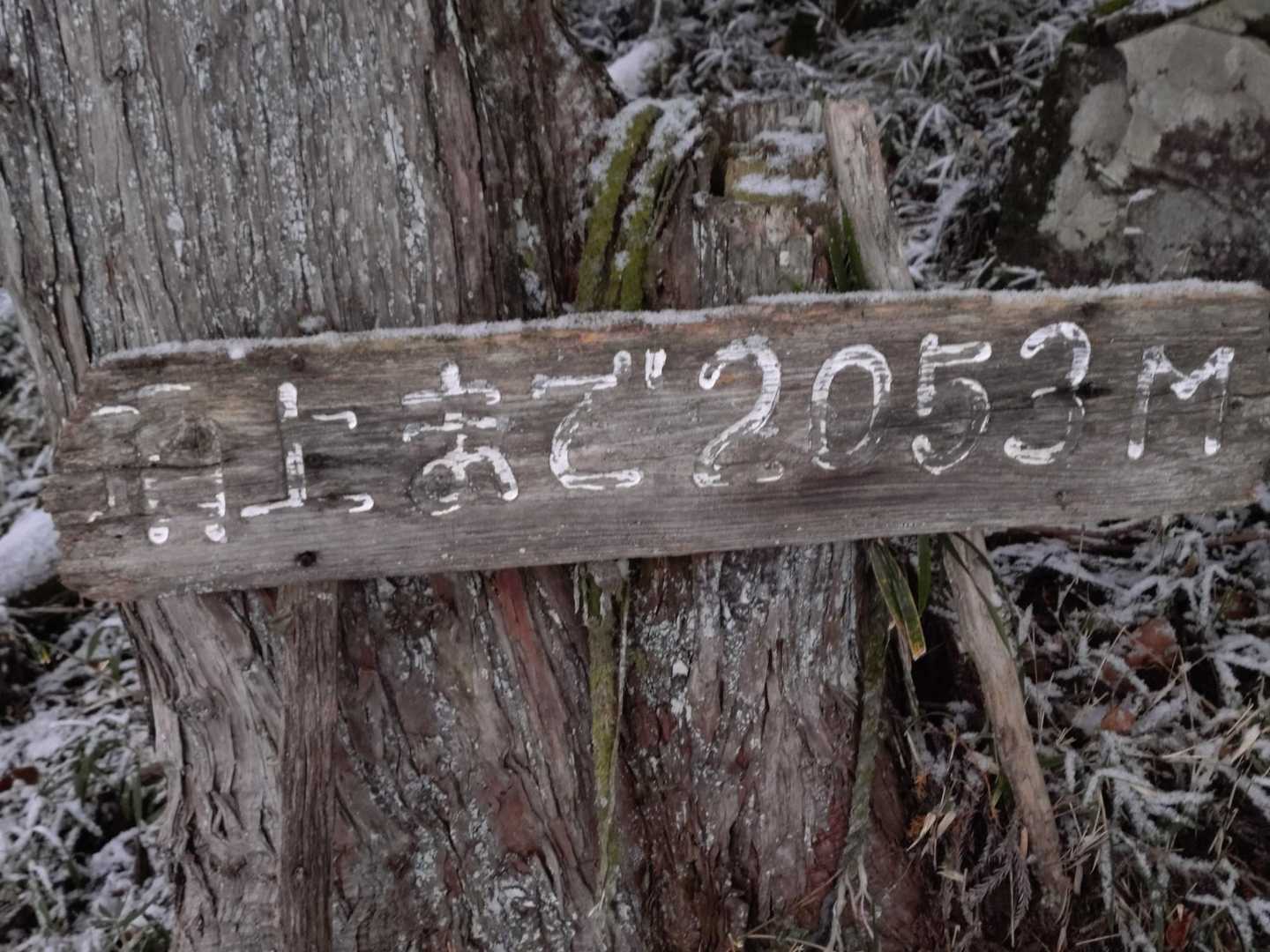 頂上までは短い目と、軽くナメて居ました💦(^_^;)