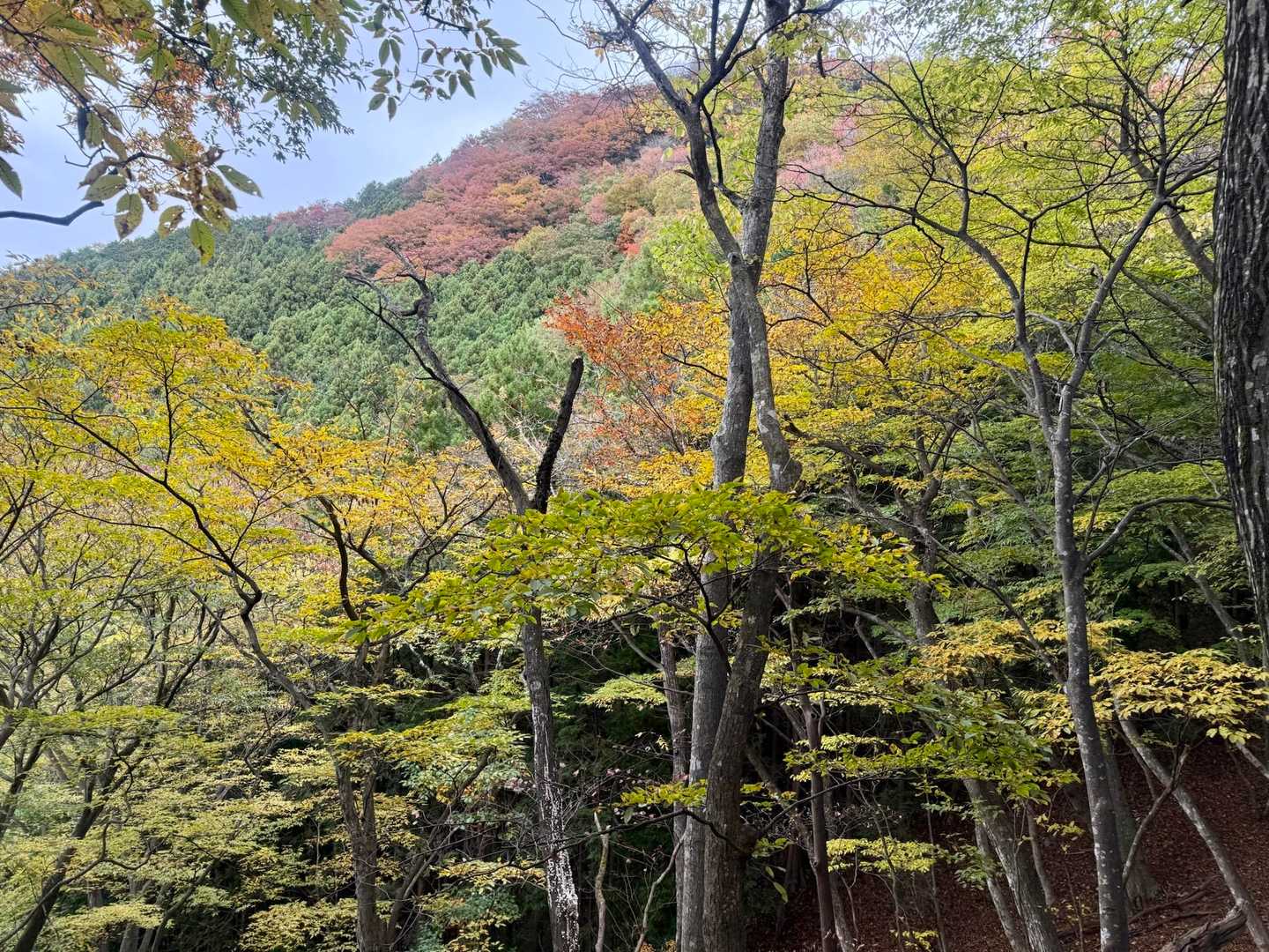 振り返って古御岳