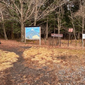 さー！
リベンジのリベンジ開始！