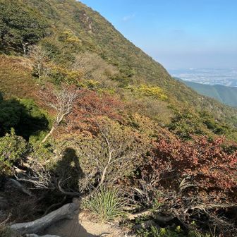 山肌が綺麗だなあ