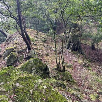 って事で
次へと