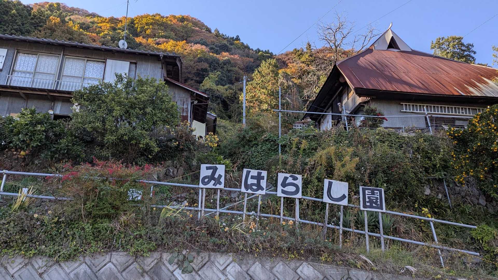 8件のみかん園の中、みはらし園へ特段理由はない😅あえて言うなら山の高い場所にある→日当たりが良い