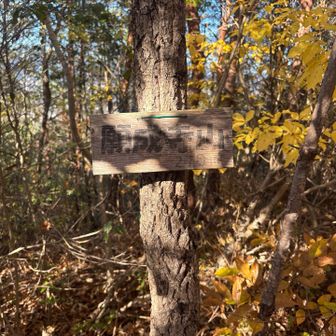願成寺山にも寄ってみた

ここはピストンで戻ろう