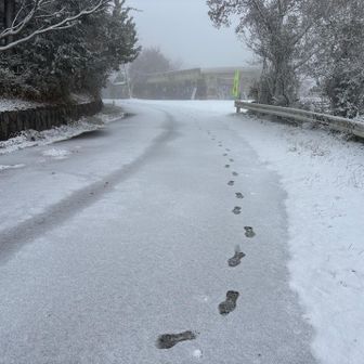 新雪なんでチェーンスパイク⛓️はしなくても大丈夫でした。

まさか🙈必要ないかなと思っていたんで持ってきてないけど😂

雪や風もマシになってきたんで予定通りのコースで下山します😅