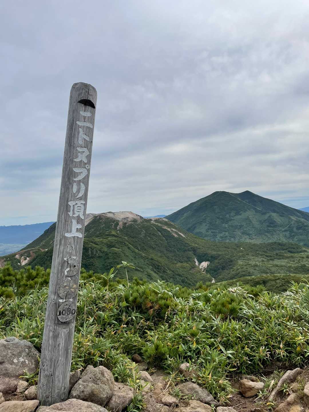 山頂つきました！