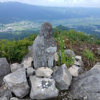 お地蔵さん久しぶり､また来たよ　最初誰かお花供えたのかな？と思ったが､普通に寄り添って生えてきて咲いたんだね｡なんかかわいい！
