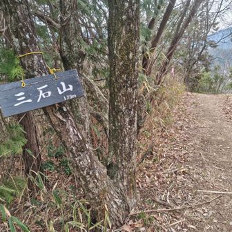 三石山山頂に到着