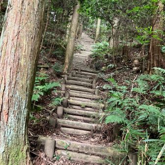 物見山への階段💦