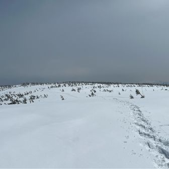 藤助森から　山頂はすぐです　この辺りは、雪はまだサラサラ