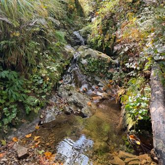 黄連山は山頂標識も眺望もなし

ここの水場でこの先の分を補給