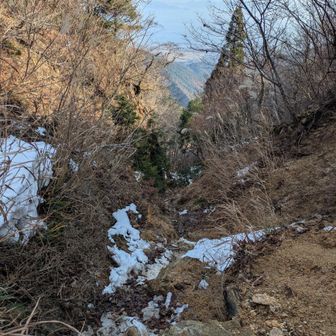 金糞峠から琵琶湖