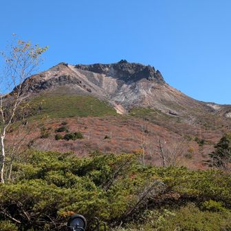樹林帯を抜けひょうたん池への木道起点に到着🫡