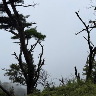 完全に雲の中😶‍🌫️
