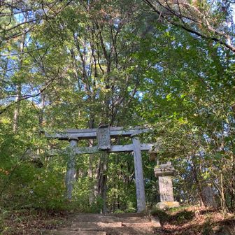 石の鳥居。
でもこの辺りからペースが落ちた気がします。