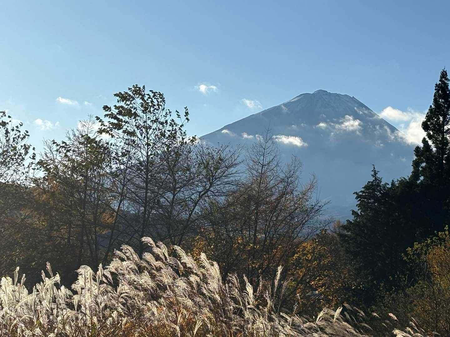 富士山見えている❣️ススキがかなり生い茂っていて秋を感じる😆