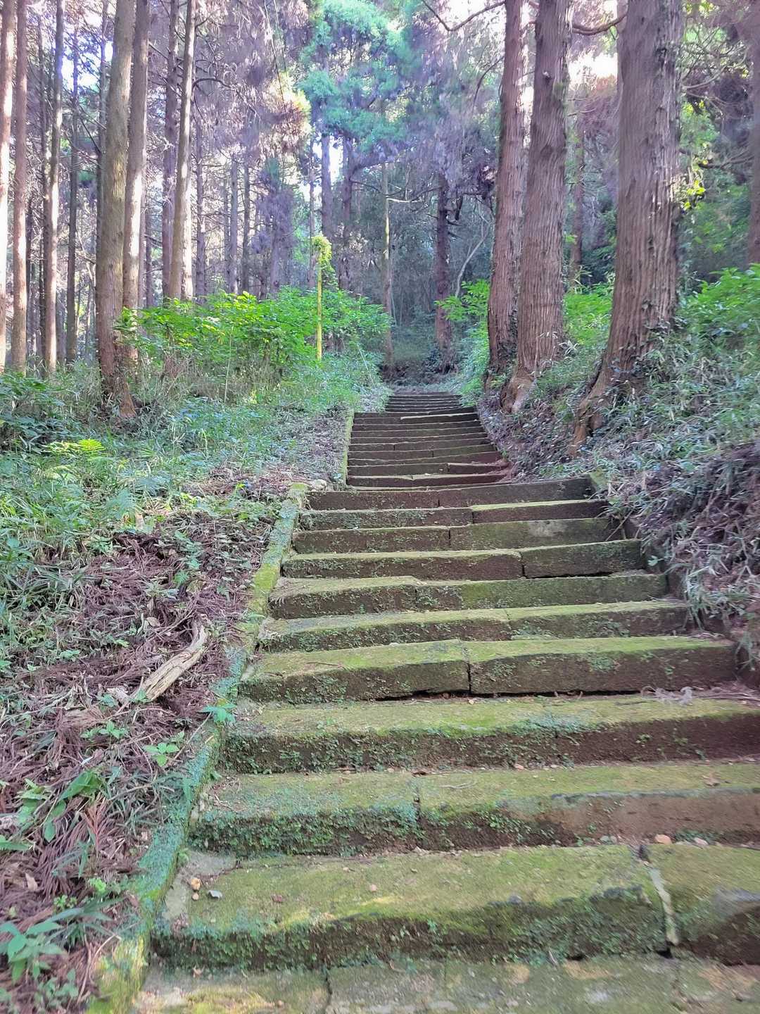 蒲生山 往復コースの写真