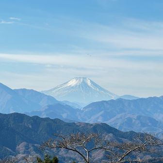 お富士山もスッキリくっきり
大山も丹沢方面もよく見えました