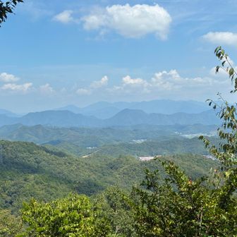 高賀山