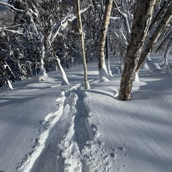 やっと冬の雪をラッセルしてる感が出てきましたな😎✨どんどん行きましょー✊