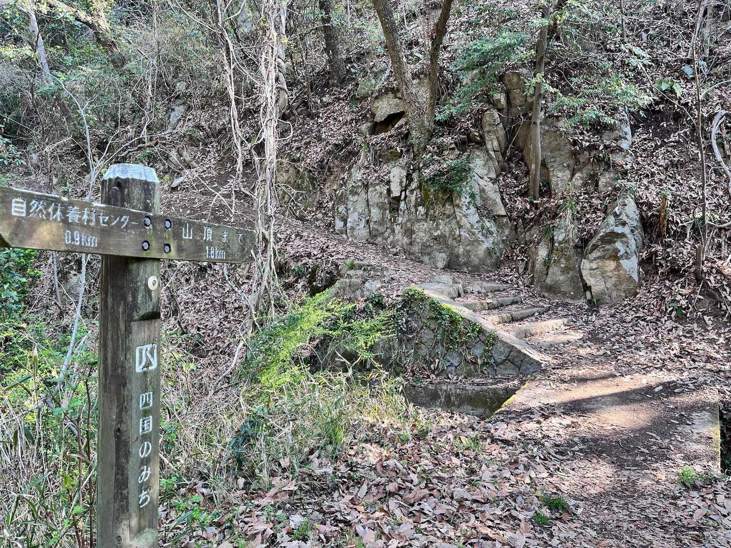 しばらく舗装路を通り、登山道へ入っていきます