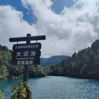 　この後、マイクロバスが下山場所へ迎えにきて下さり　
皆さんで無事下山できました。