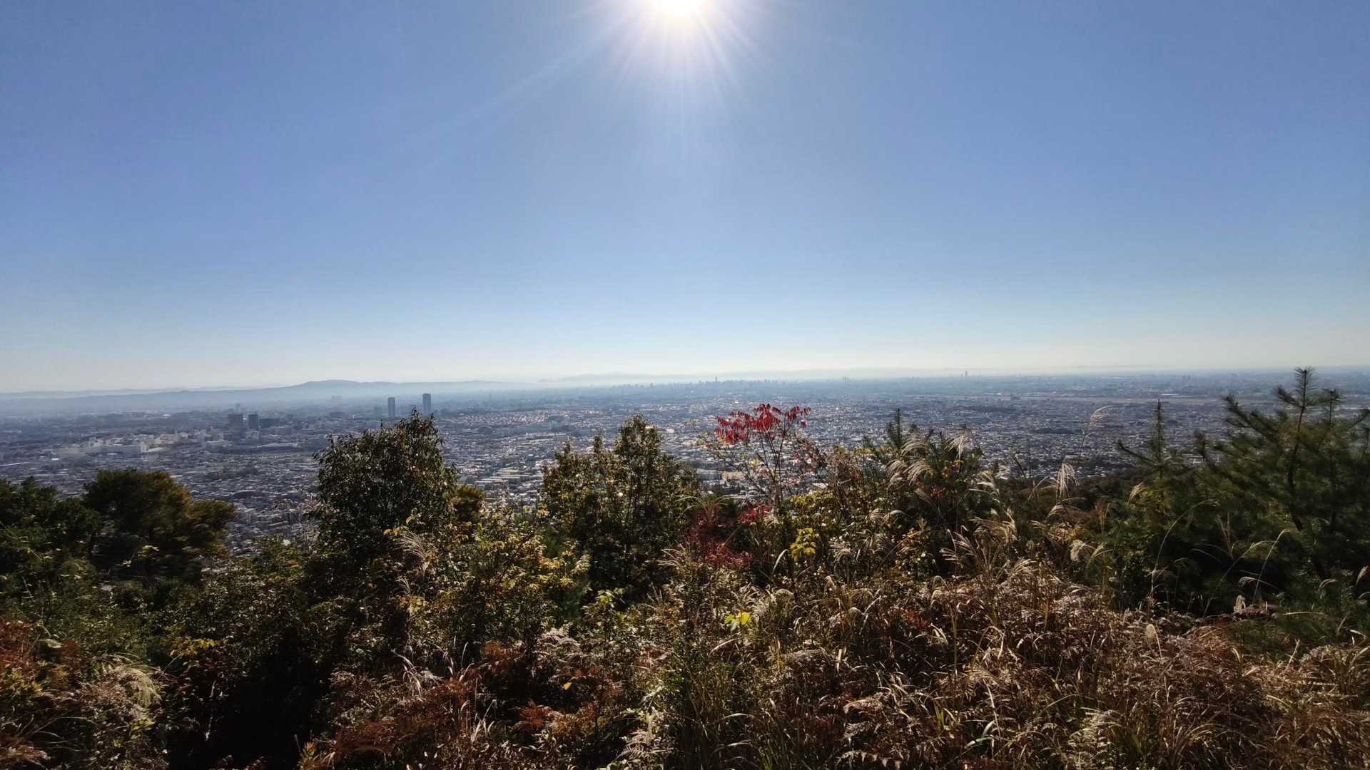 ここの展望台からの景色が最高でした