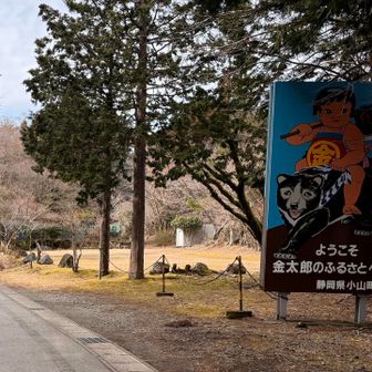 しばらく舗装の林道を歩く