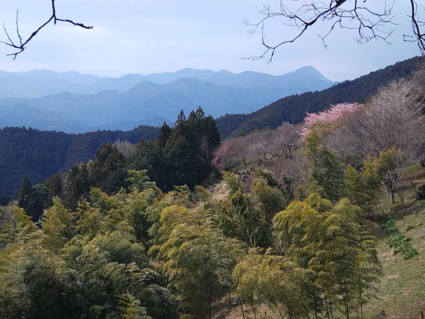 でもこっちは✨