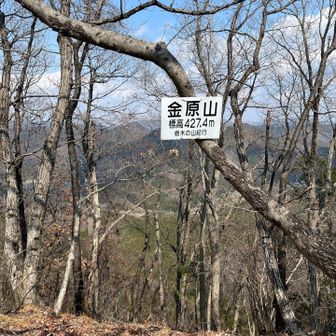 本日のゴールのお山！