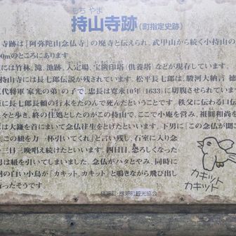 持山寺跡に立ち寄って。遠めに見て鳥さんの絵は悪戯書きかと思ったら...
ちゃんと謂れがございました。失礼いたしました🙇
