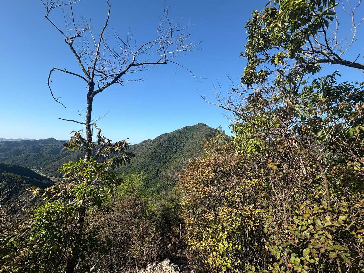 奥山-七種槍-七種山-十字峰 周回コースの写真