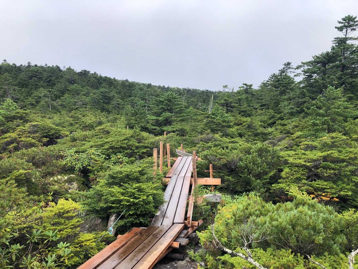 快適な道