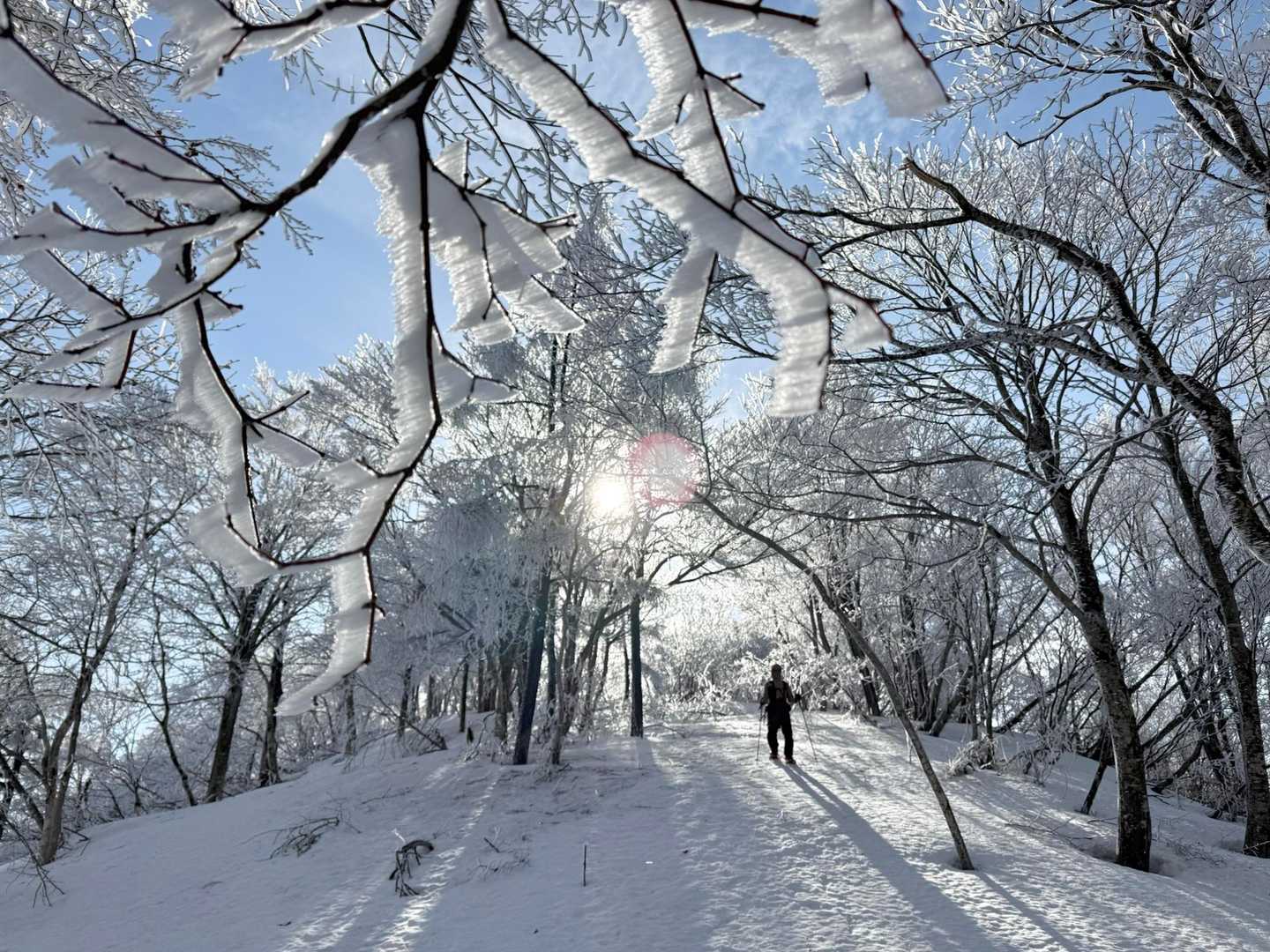 信越トレイル（チロル登山口～斑尾山～赤池テントサイト）の写真