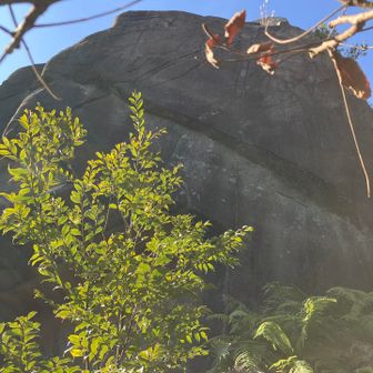 これが仏石かな？