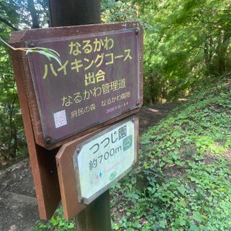 なるかわから下山