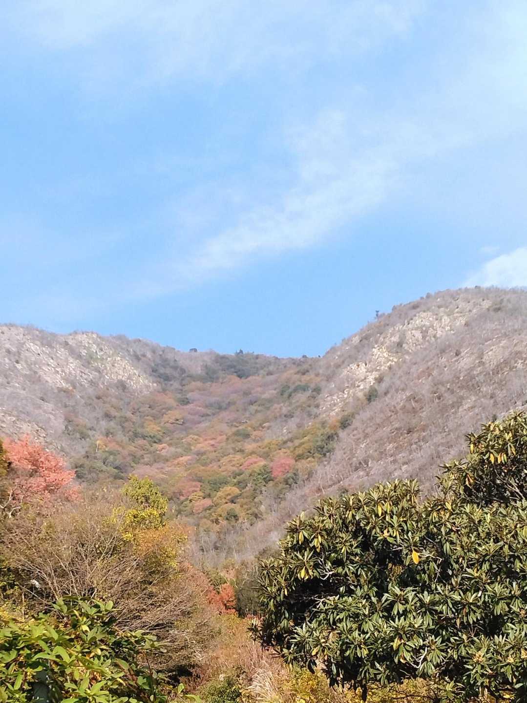 黒鉄山の谷が紅葉しています。