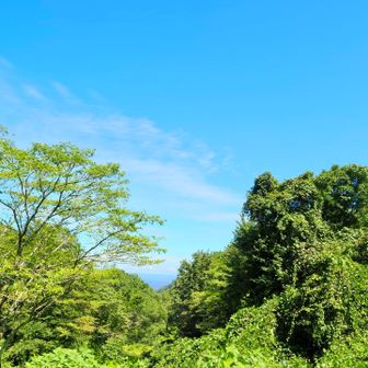 台風どうなるやら