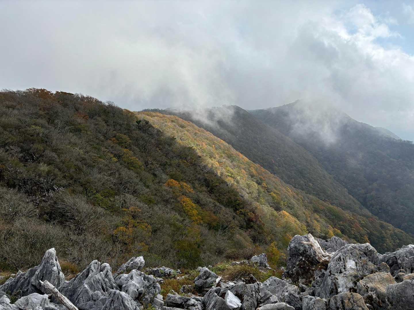 先ほど歩いた藤原岳