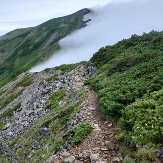 布引山付近から見た鹿島槍ヶ岳の稜線