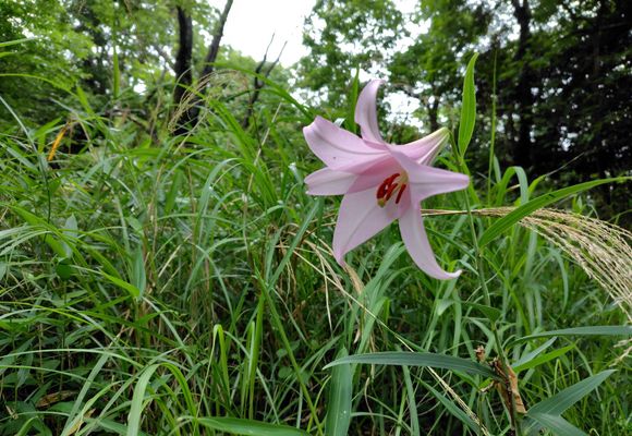 三郷山（三重・142m）| 登山ルート・天気 | YAMAP / ヤマップ