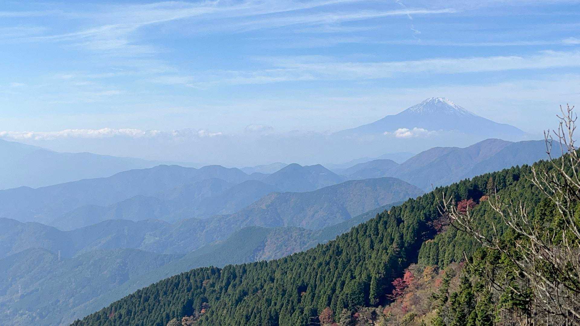 ヤビツ峠-表尾根-塔ノ岳-大倉尾根 縦走コースの写真