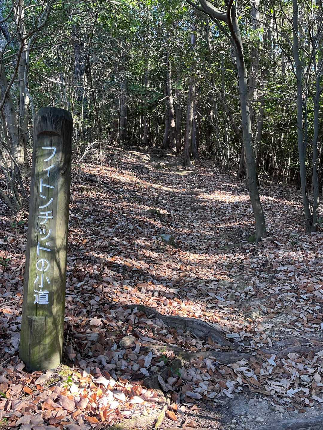 有馬富士-加茂山-金比羅山 周回コースの写真