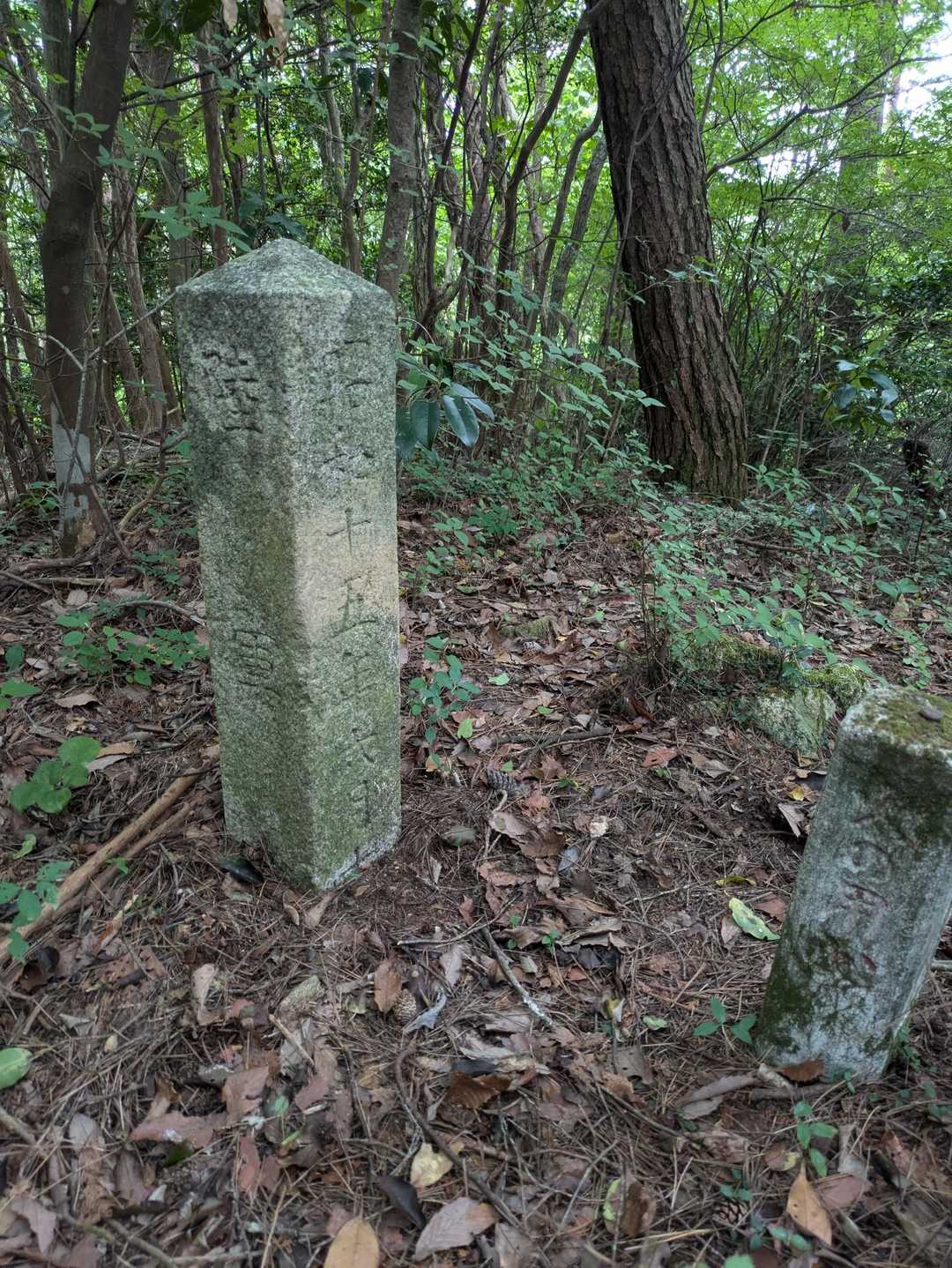 極楽寺山-極楽寺 往復コースの写真