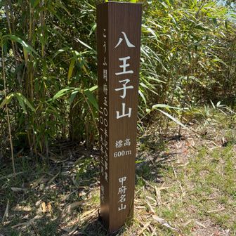 ３つ目の山
八王子山に着きました🏔️